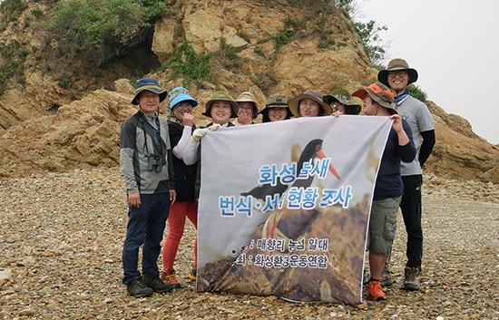 ‘미공군 폭격장’ 매향리 농섬 화성 물새 번식.서식 현황 조사
