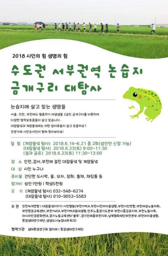 수도권 서부권역 논습지 금개구리 대탐사