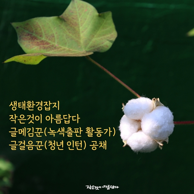 [전국]2023 작은것이아름답다 글메김꾼(녹색출판 활동가) · 글걸음꾼(인턴) 공채